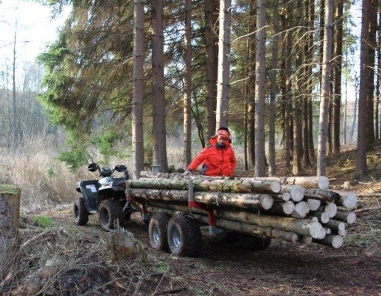 Anhänger, Kipper Wood 1500 Holzrückewagen für ATV / Quad